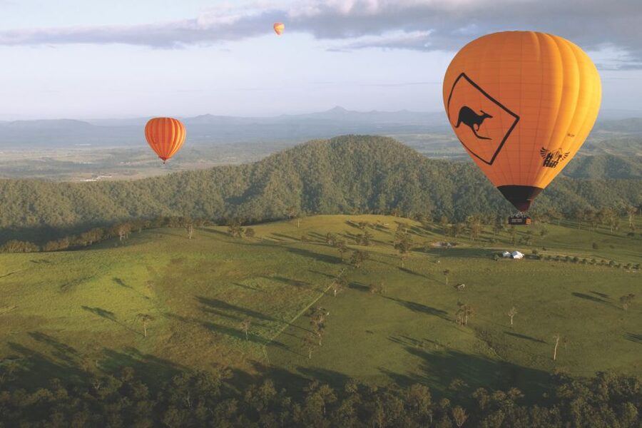 Gold Coast: Hot Air Balloon Flight+Vineyard Breakfast+Alpaca - Price and Value: Is $350 Per Person Worth It