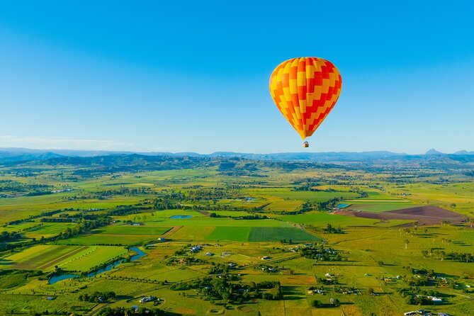 Gold Coast Hot Air Balloon + Winery Breakfast + Return Transfers - The alpaca experience: a small add-on that adds charm
