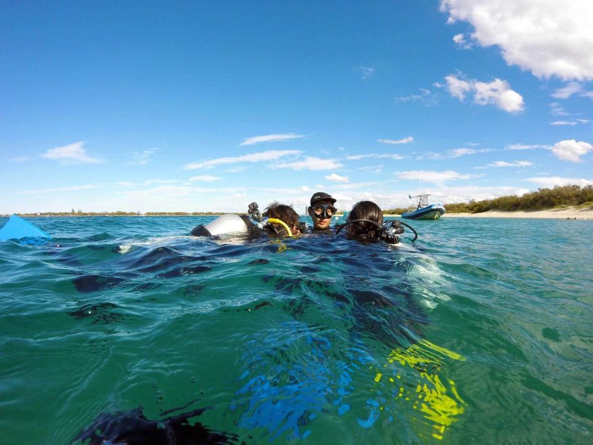 Gold Coast: Introductory SCUBA Diving Experience - What You’ll See on the Underwater Swim (Without Overpromising)