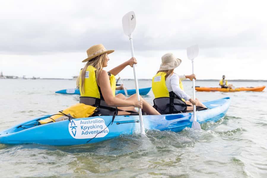 Gold Coast: Kayaking and Snorkeling Guided Tour - Key things I’d bet on