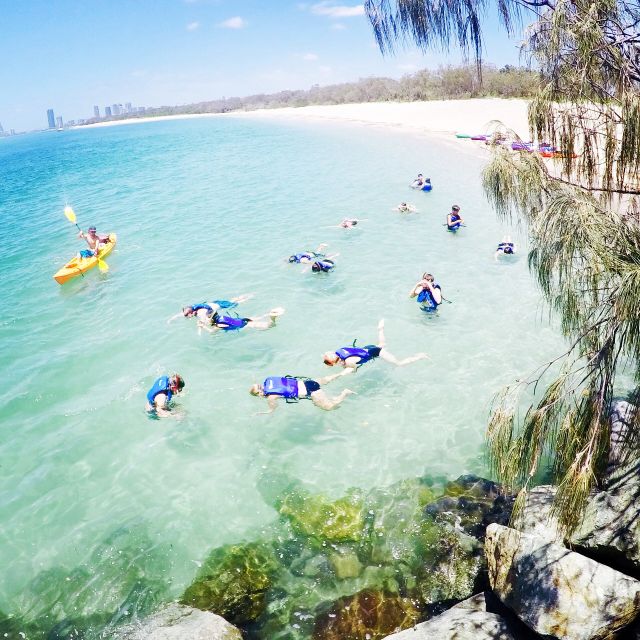 Gold Coast: Kayaking and Snorkeling Guided Tour - Safety and comfort: rain or shine, plus the walking reality