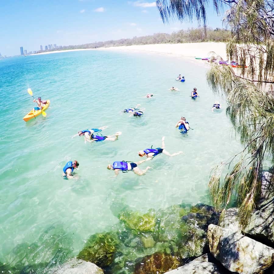 Gold Coast: Kayaking and Snorkeling Guided Tour - Getting to Biggera Waters and how the 2-hour rhythm works