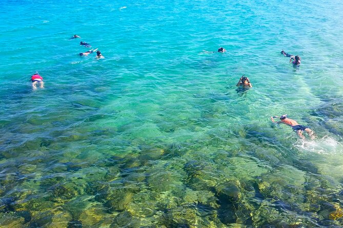 Gold Coast Kayaking & Snorkelling Tour (2.5 Hours) - Key things I’d circle on your booking list