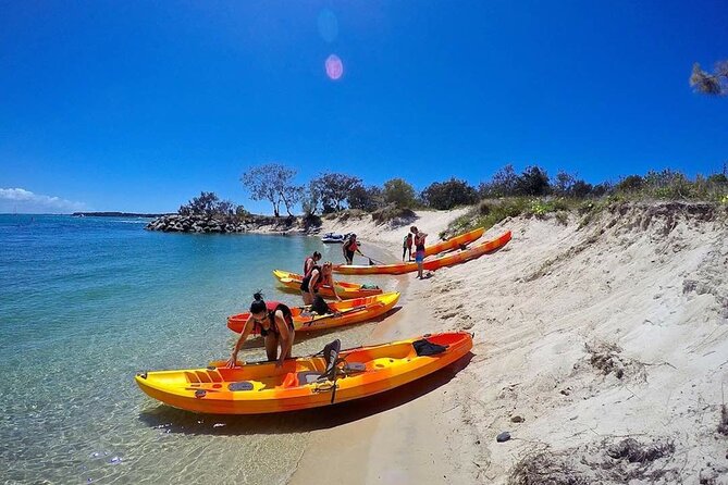 Gold Coast Kayaking & Snorkelling Tour (2.5 Hours) - Wave Break Island walk and snorkel: how to set your expectations