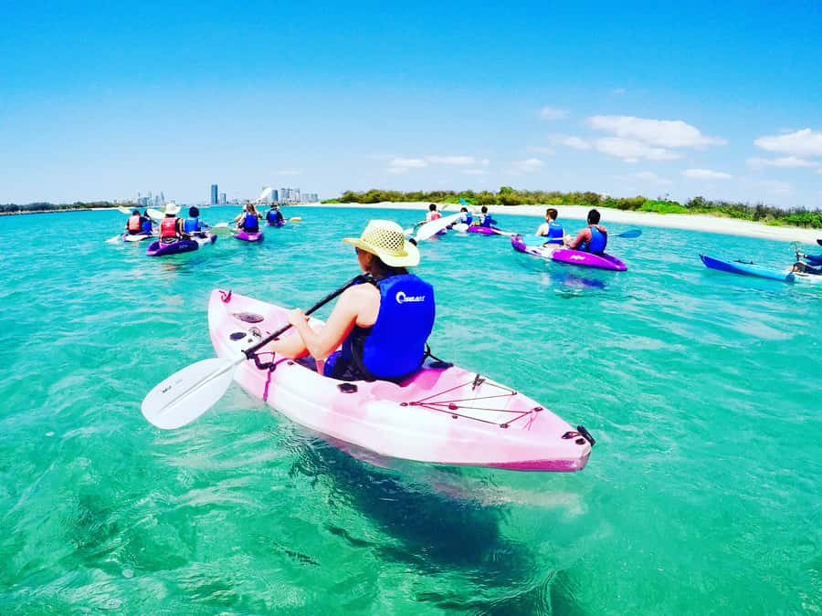Gold Coast: Kayaking & Snorkelling Tour with Fish Feeding - Gold Coast kayaking that feels easy, not intimidating