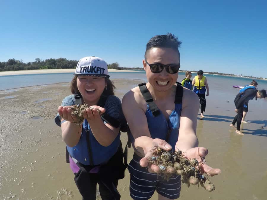 Gold Coast: Kayaking & Snorkelling Tour with Fish Feeding - Snorkel and feed fish off the man-made island