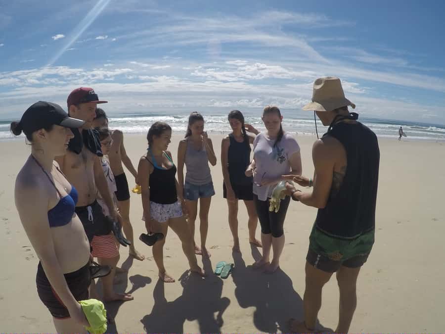 Gold Coast: Kayaking & Snorkelling Tour with Fish Feeding - Price and value: is $63 worth 3 hours of kayaking and snorkelling?
