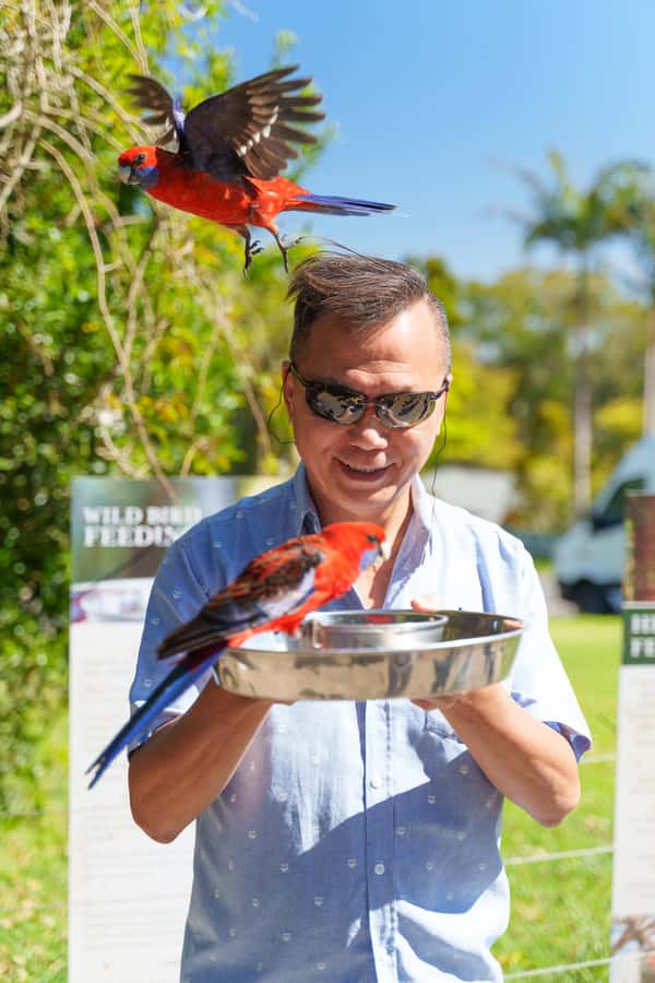 Gold Coast: Lamington Treetops, Wildlife and Vineyard Visit - Lamington Treetops: walking above one of Earth’s largest subtropical forests