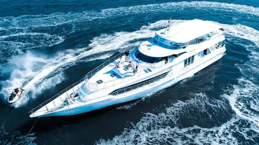 Gold Coast: Luxury Whale Watching Tour - Spotting whales with 360-degree views and rotating decks