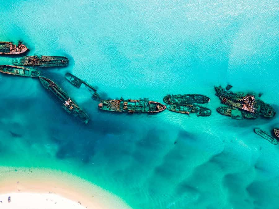 Gold Coast: Moreton Island Day Trip Kayak & Sandboarding - Tangalooma Wrecks: snorkeling and clear-kayak time that actually puts you over the action