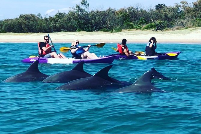 Gold Coast: Morning Kayak & Snorkel Adventure with Breakfast - Quick hits before you go