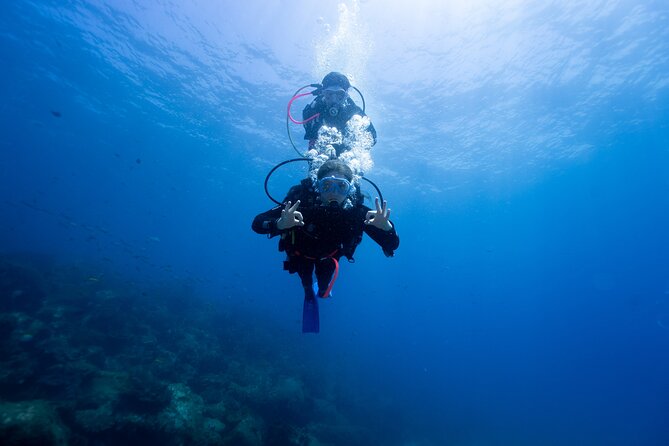 Gold Coast: Morning Kayak & Snorkel Adventure with Breakfast - Who this tour fits best, and who should rethink it