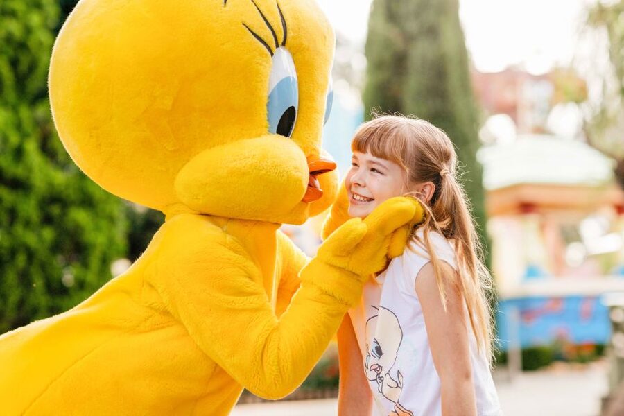 Gold Coast: Movie World, Sea World & Wet'n'Wild 7-Day Pass - Getting the voucher right: where to redeem each part