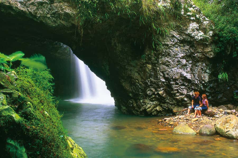 Gold Coast: Natural Bridge Glow Worm Night Tour - Springbrook National Park at night: flashlight walking and real forest sounds