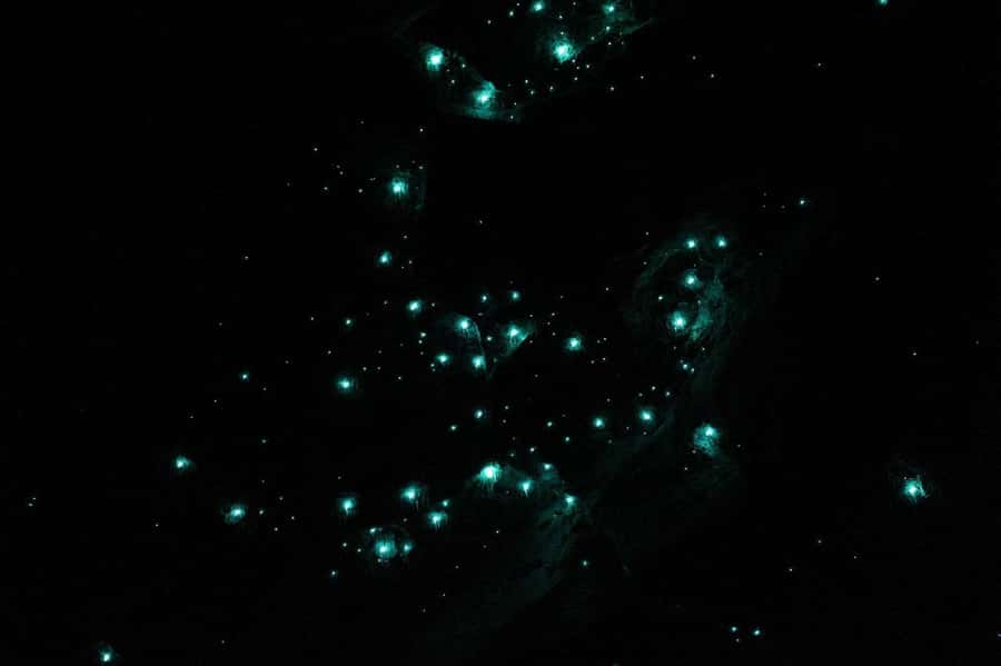 Gold Coast: Natural Bridge Glow Worm Night Tour - Stargazing after the cave: the night sky moment that makes the tour feel complete