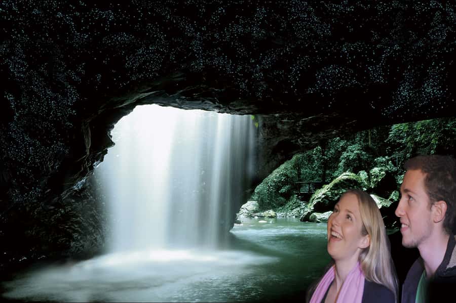 Gold Coast: Natural Bridge Glow Worm Night Tour - The 2-hour coach ride: how the commentary sets you up for the glow worm show