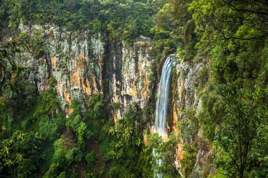 Gold Coast: Natural Bridge & Springbrook Waterfalls Tour - Key things I’d circle on your planning list