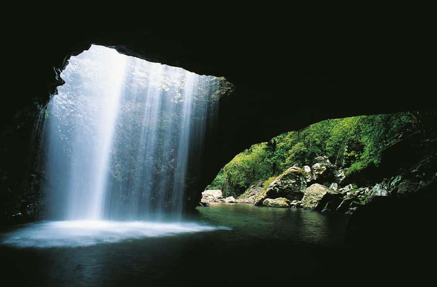 Gold Coast: Natural Bridge & Springbrook Waterfalls Tour - Getting Out of Surfers Paradise: Aquaduck Meet-Up and Early Momentum