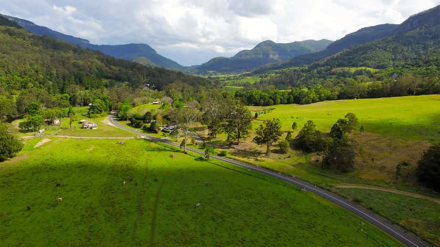 Gold Coast: Natural Bridge & Springbrook Waterfalls Tour - Best of All Lookout: Ancient Forest Walk, Big Northern Views