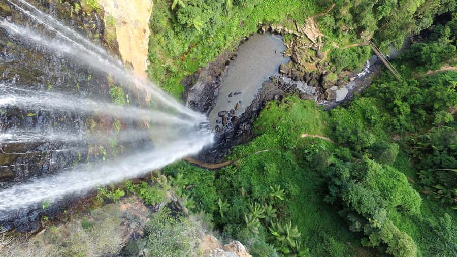 Gold Coast: Natural Bridge & Springbrook Waterfalls Tour - Purling Brook Falls and Weather-Dependent Lookouts