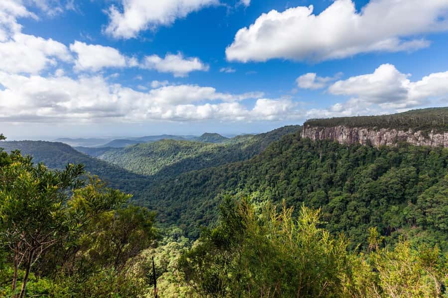 Gold Coast: Natural Bridge & Springbrook Waterfalls Tour - How the Pace Really Feels: Time, Walking, and Comfort