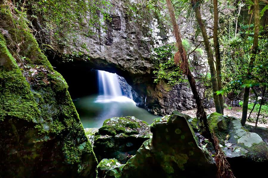 Gold Coast: Natural Bridge & Springbrook Waterfalls Tour - What’s Included at $84 Per Person, and Why It Can Still Be Good Value