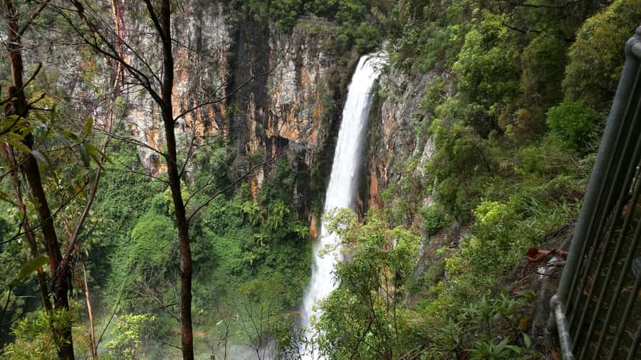 Gold Coast: Natural Bridge & Springbrook Waterfalls Tour - The Hinze Dam Break: Quick Snacks, Then Into the Rainforest Mood