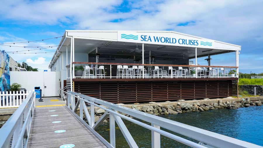 Gold Coast: Premium Whale Watching Cruise - Should you book this Gold Coast Premium Whale Watching cruise?