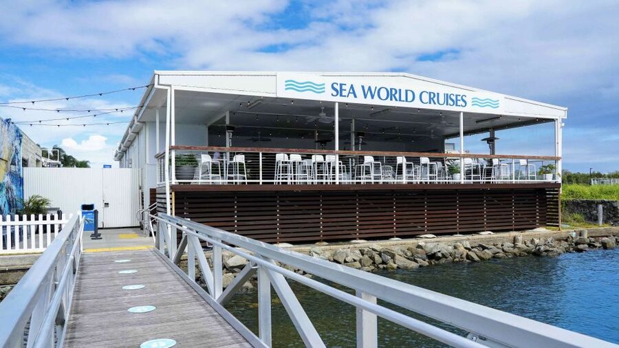 Gold Coast: Premium Whale Watching Cruise - Beyond humpbacks: dolphins, sea turtles, and seabirds