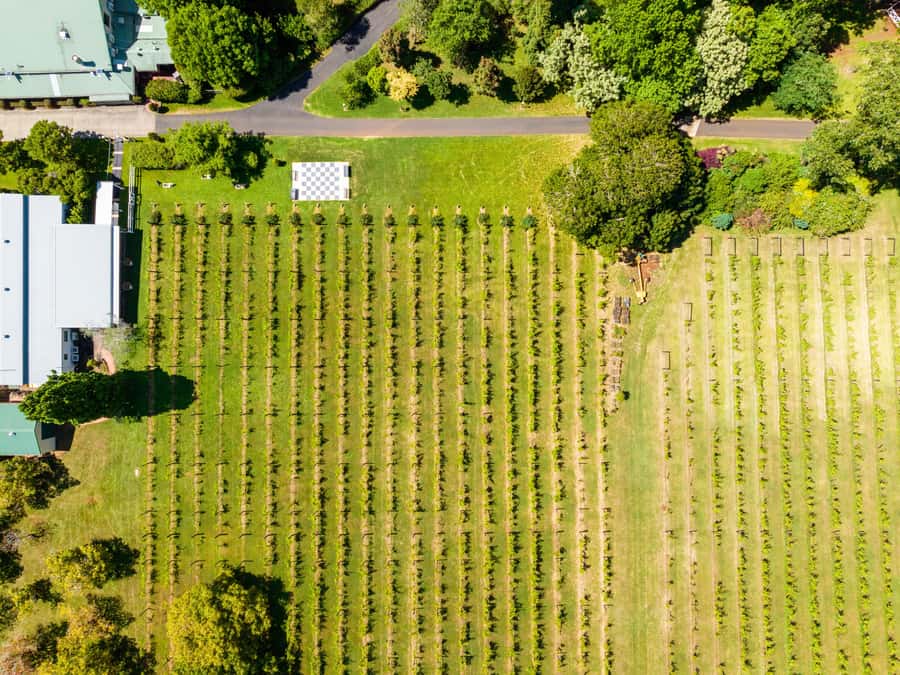 Gold Coast: Premium Wine Tour with Gourmet Lunch - Key things to know before you go