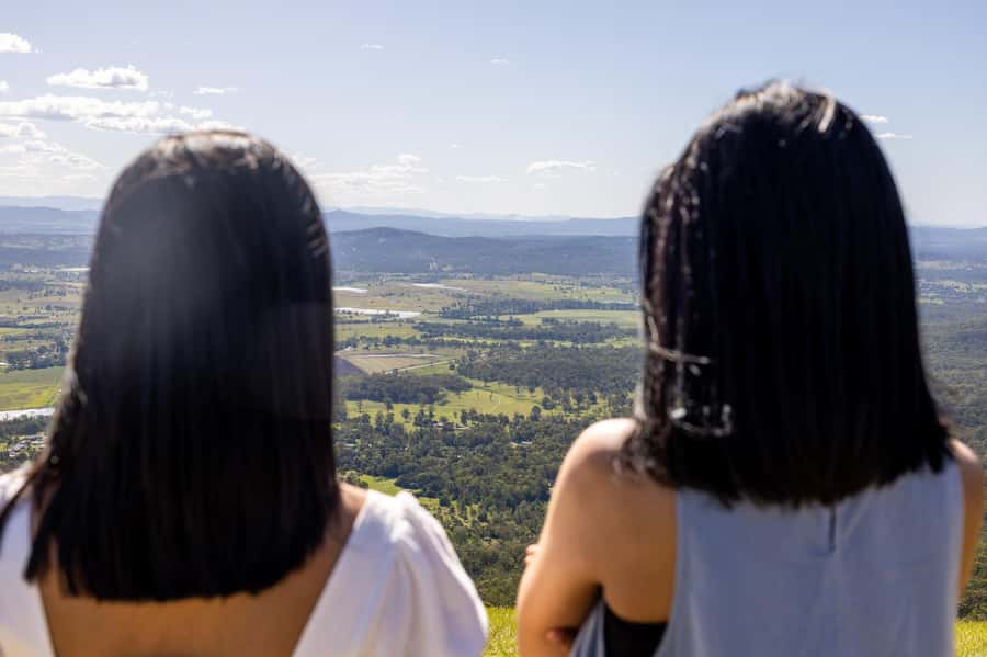 Gold Coast: Premium Wine Tour with Gourmet Lunch - What to bring and how to pace the day