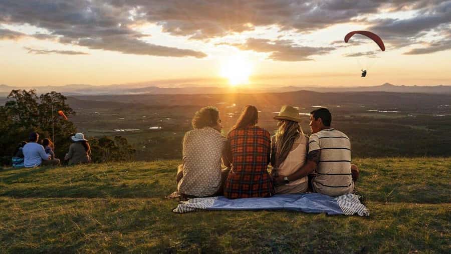 Gold Coast: Premium Wine Tour with Gourmet Lunch - A day in the Gold Coast hinterland, Mount Tamborine style