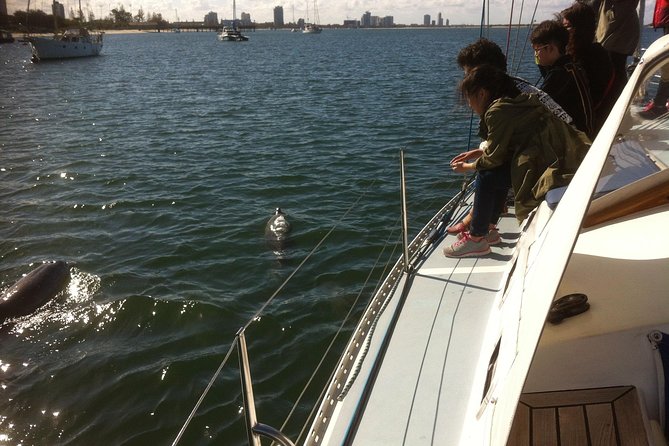 Gold Coast Sailing Cruise with sparkling wine & nibbles platter - The Broadwater Route: Landmarks You Can Actually Point At