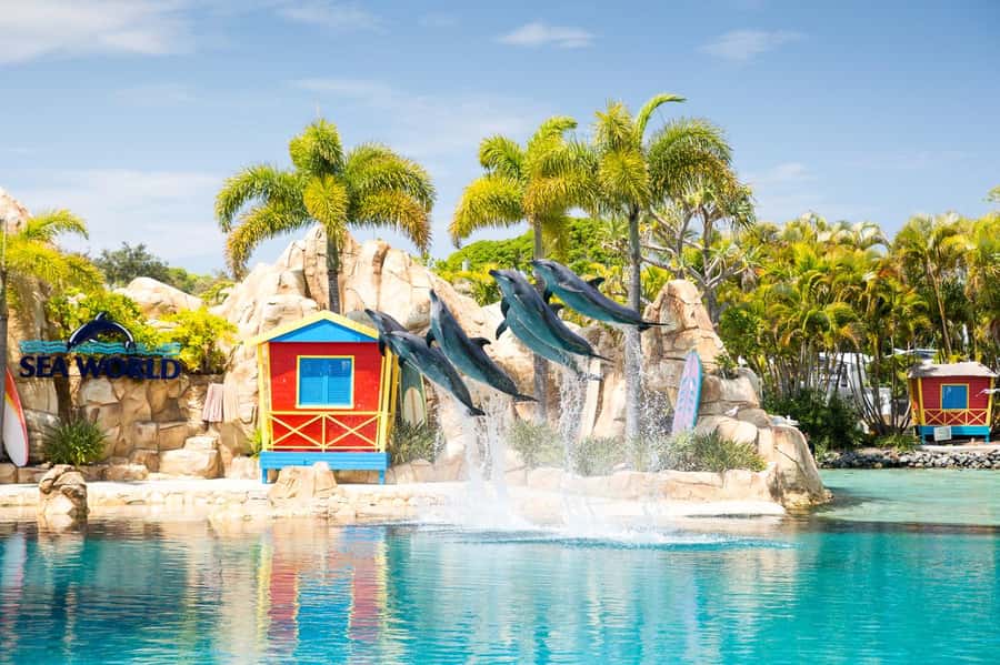 Gold Coast: Sea World Cruise & Entry Combo Ticket - Should you book the HOPO Sea World cruise & entry combo?
