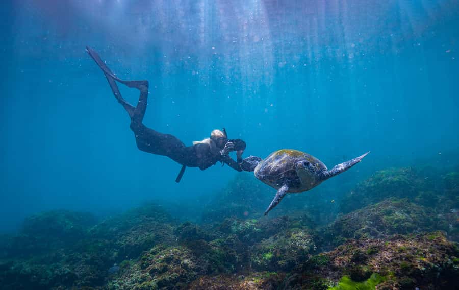 Gold Coast: Snorkeling with Turtles Half-Day Tour - The boat ride to Cook Island: 20 minutes that set the tone