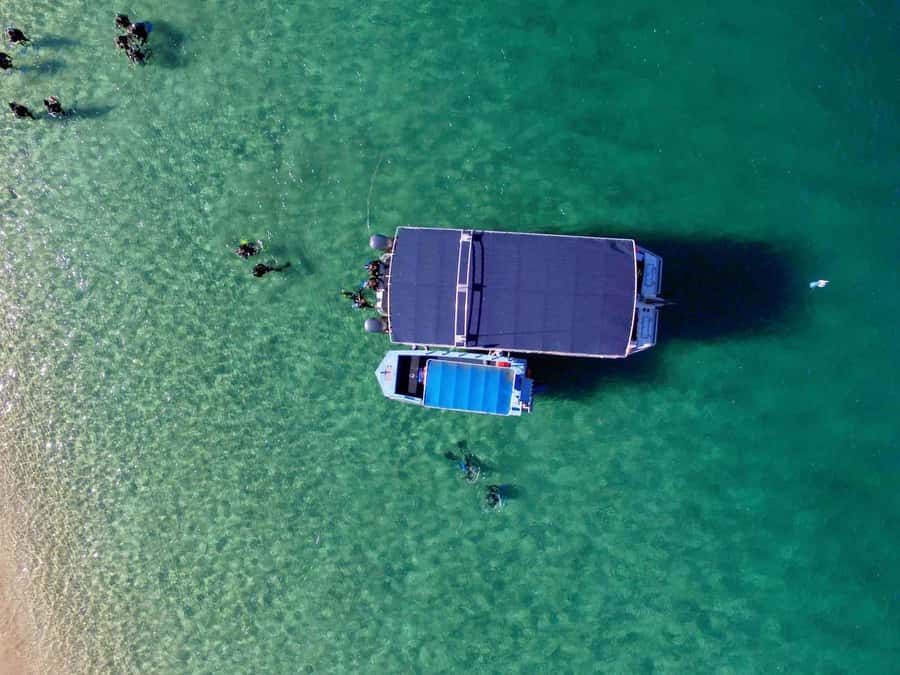 Gold Coast: Snorkelling in Wave Break Island - Key things to know before you go