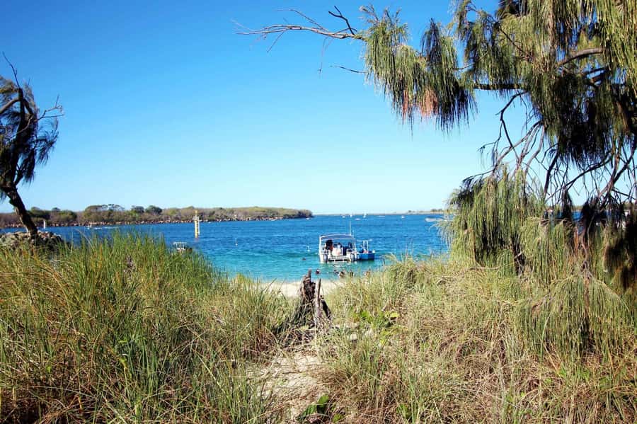 Gold Coast: Snorkelling in Wave Break Island - Wave Break Island: why the fish gather in this protected cove