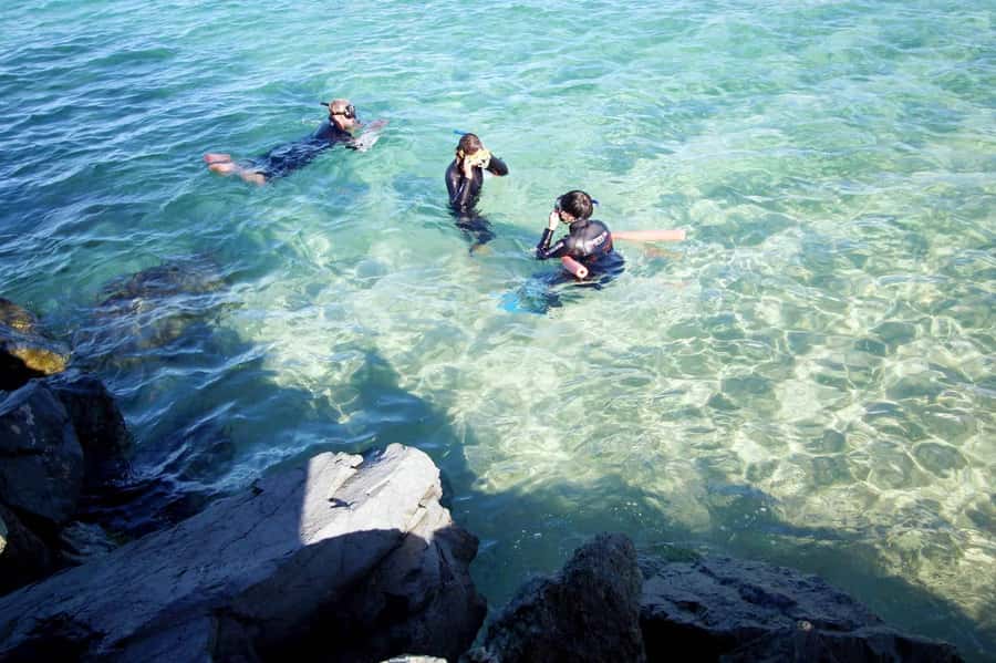 Gold Coast: Snorkelling in Wave Break Island - Fish feeding and underwater photos: the best way to get the shots
