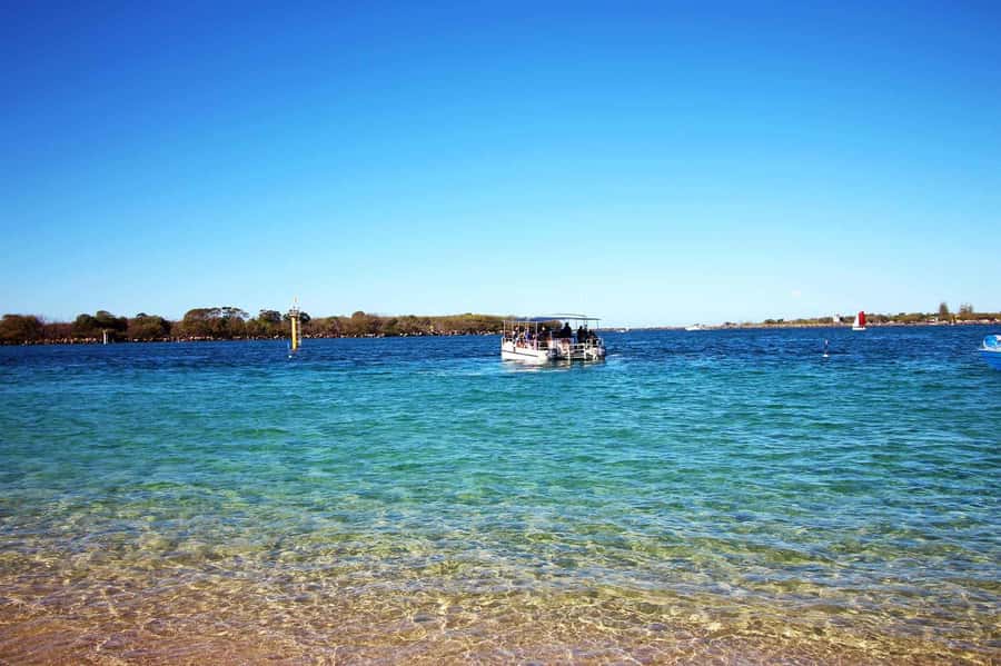 Gold Coast: Snorkelling in Wave Break Island - Weather and water clarity: when conditions change the experience