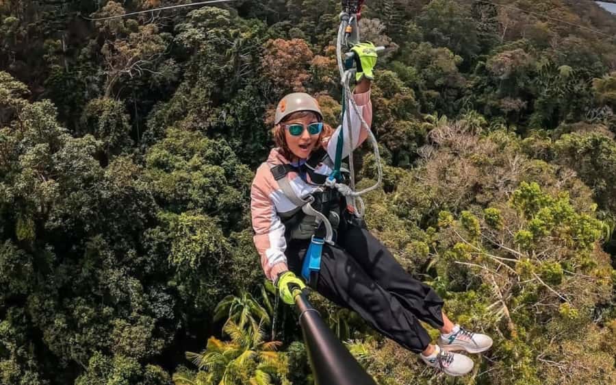 Gold Coast: Tamborine Mountain Canyon Flyer Zipline Tour - Canyon Flyer Basics: What You Actually Do in 3 Hours