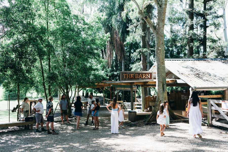 Gold Coast: Tropical Fruit World Full Farm Tour - Languages and Guides: English Plus an Audio Option