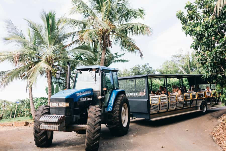 Gold Coast: Tropical Fruit World Full Farm Tour - Riding 215 Acres on a Tractor Train Through Orchards
