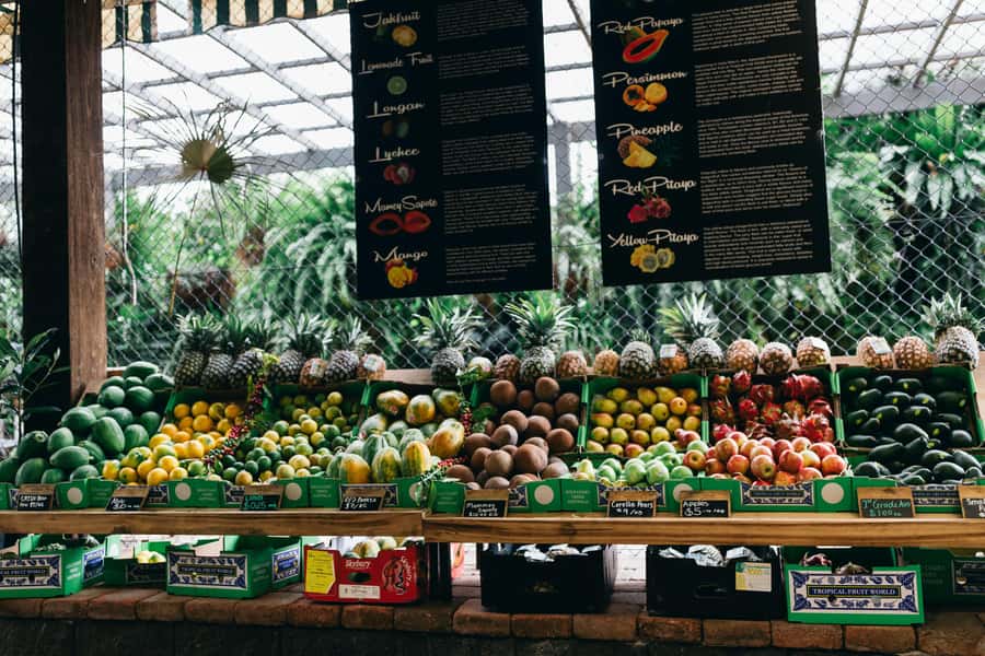 Gold Coast: Tropical Fruit World Full Farm Tour - Fauna Park Encounters, Kangaroos and Donkeys Included
