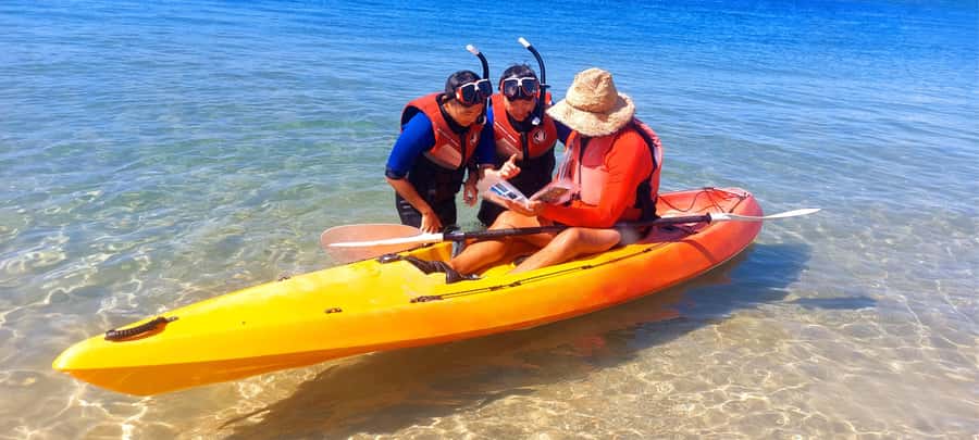 Gold Coast: Wave Break Island Kayaking & Snorkeling tour - Why Wave Break Island kayaking feels more personal than a typical Gold Coast day