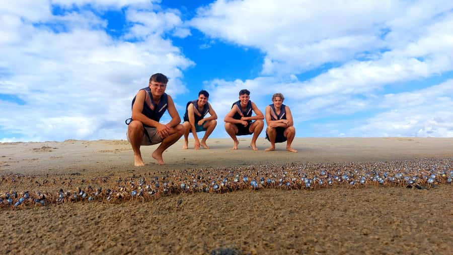 Gold Coast: Wave Break Island Kayaking & Snorkeling tour - Snorkelling on a protected reef: what to expect and how to get the best views