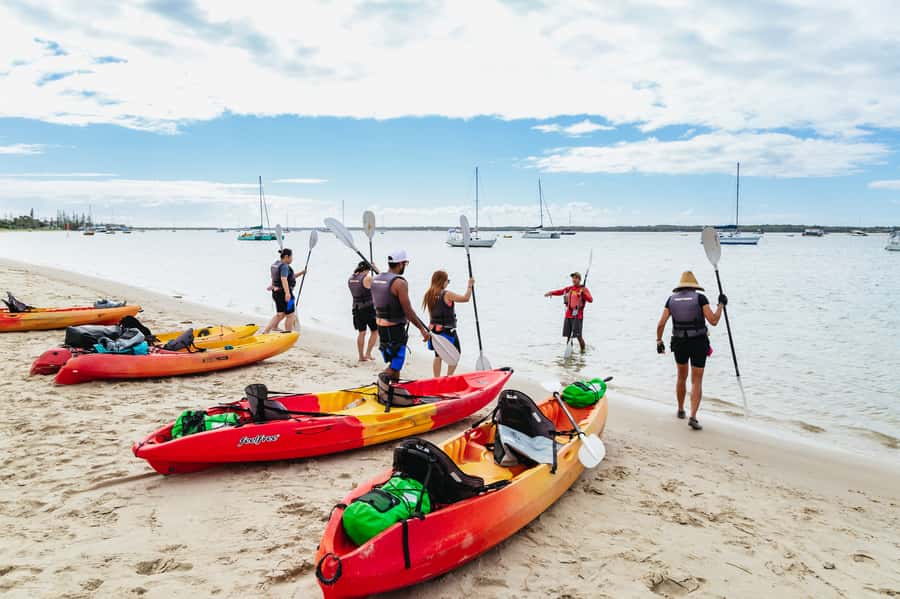 Gold Coast: Wave Break Island Kayaking & Snorkeling tour - On the way back: stay alert, dolphins can show up