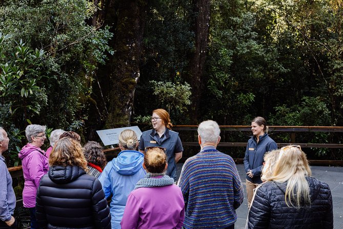 Gordon River Cruise departing from Strahan - Sarah Island: convict history you can actually feel
