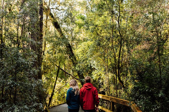 Gordon River Cruise departing from Strahan - Should you book the Strahan to Gordon River and Sarah Island cruise?