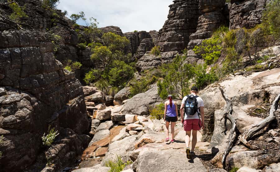 Grampians National Park Small-Group Eco Day Tour - Hitting the park: Silverband Falls and calm walking trails
