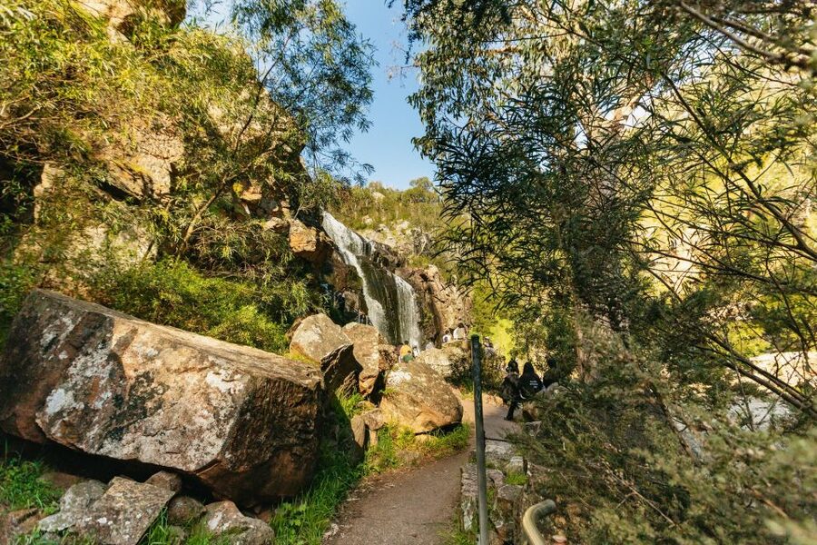 Grampians National Park Small-Group Eco Day Tour - MacKenzie Falls: the main event, stairs and power
